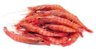 GAMBA ARROCERA 9.90€ 350GR
