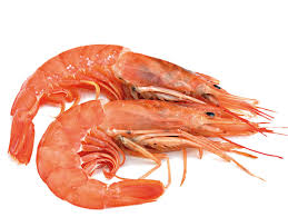 GAMBON 14.90€ 700GR