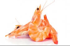 LANGOSTINO COCIDO 20 30