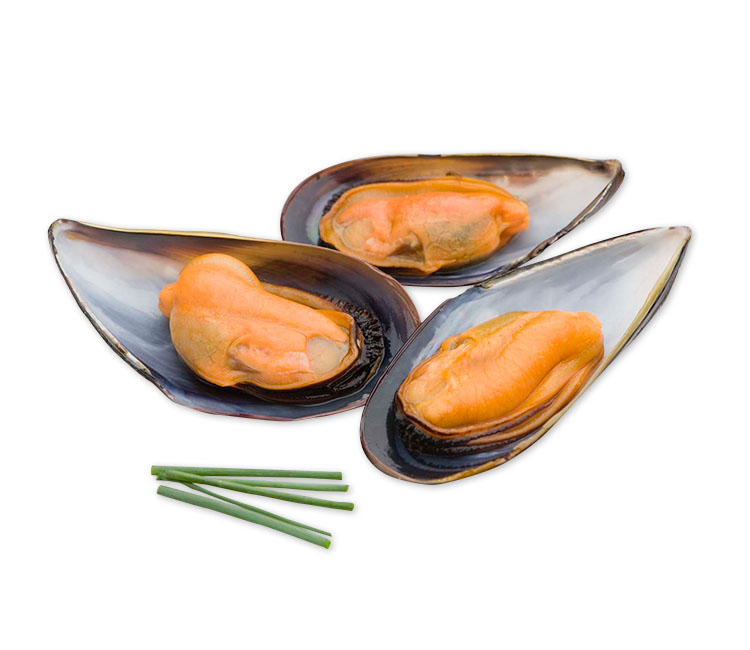 MEJILLON MEDIA CONCHA 8.50€ 500GR