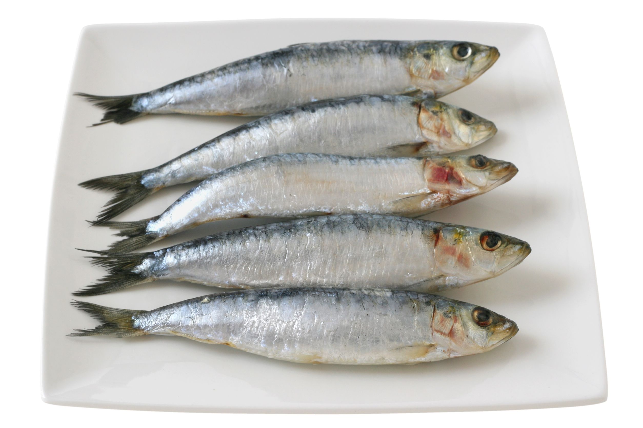 SARDINA ENTERA 6.90€ 1KG